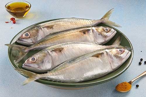 Bangda (Mackerel)