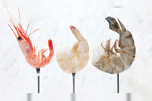Jumbo Prawns
