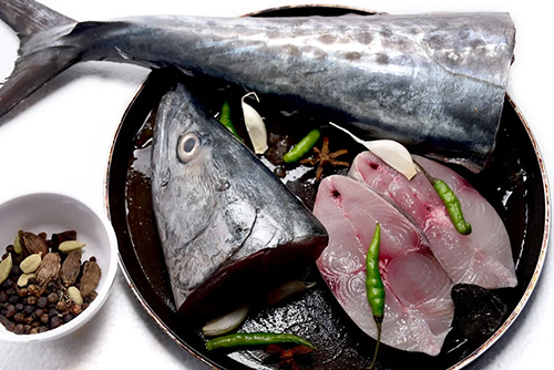 Surmai (Kingfish)